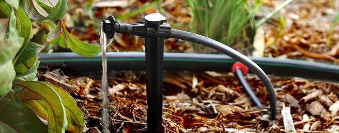 Drip Xerigation Watering Systems